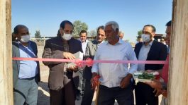 سه طرح کشاورزی در رفسنجان به بهره برداری رسید + تصاویر