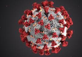 فوت بیست و هشتمین نفر بر اثر ابتلا به کرونا ویروس در رفسنجان