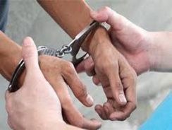 ۸ نفر از اراذل و اوباش حرفه ای در رفسنجان بازداشت شدند / کشف ۲۲قبضه سلاح گرم از متهمان