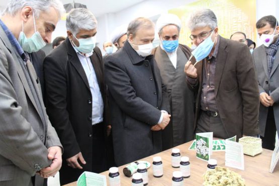 راهاندازی نخستین مرکز نوآوری و شتابدهی صنعت مس کشور در رفسنجان