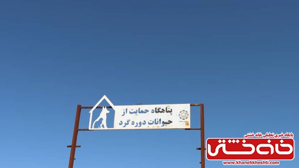 شهرداری رفسنجان پیشرو در حمایت از حقوق حیوانات