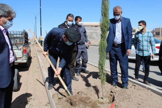 آیین نمادین درختکاری با عنوان «هر رسانه یک درخت» در رفسنجان+ تصاویر