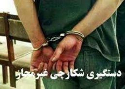 متخلف شکار دو رأس کل وحشی در شهرستان رفسنجان دستگیر شد