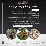 نخستین جشنواره عکس پسته در رفسنجان