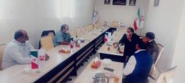 ورود تکنولوژی جدید تولید پنل های خورشیدی به «منطقه ویژه اقتصادی» رفسنجان