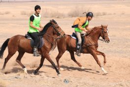 مسابقه استانی سوارکاری در رفسنجان برگزار شد