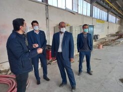 بازدید از اولین کارخانه تخصصی تولید بتن پیش‌تنیده در کشور و مخازن اسید مس رفسنجان