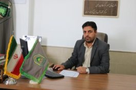 ۹۰ هزار اصله نهال تاغ در رفسنجان کشت می شود