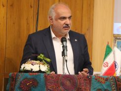 تخصیص ۵۶ میلیارد تومان اعتبار دولتی برای رونق گردشگری استان کرمان 