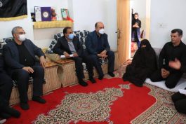 دیدار وزیر بهداشت با خانواده اولین شهید مدافع سلامت رفسنجان + عکس