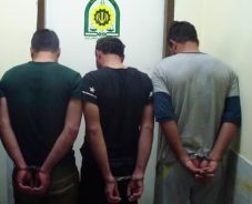 دستگیری ۱۸ سارق پسته از ابتدای شهریور ماه در رفسنجان