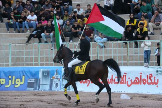 جشنواره کشوری اسب‌های اصیل و بومی در رفسنجان برگزار شد