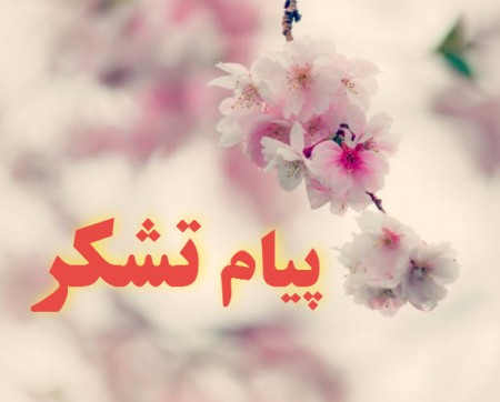 پیام قدردانی ریاست بنیاد شهید رفسنجان در پی خدمت‌رسانی ارگان‌های مختلف در حوزه درمان به خانواده شهدا