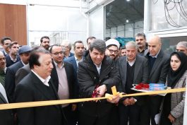 <span style='color:#a2a2a2;font-size:12px;'>باحضور استاندار کرمان؛</span><br/>اولین گلخانه مدرن و هوشمند هیدروپونیک استان کرمان در رفسنجان بهره برداری شد
