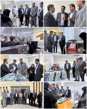 حمایت مالیاتی از خیریهها در رفسنجان