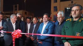 سومین دوره المپیاد ورزشی طلای  سبز شهرستان رفسنجان افتتاح شد
