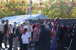 زعفران راویز؛ رنگ خدا و طلای سرخ ایران