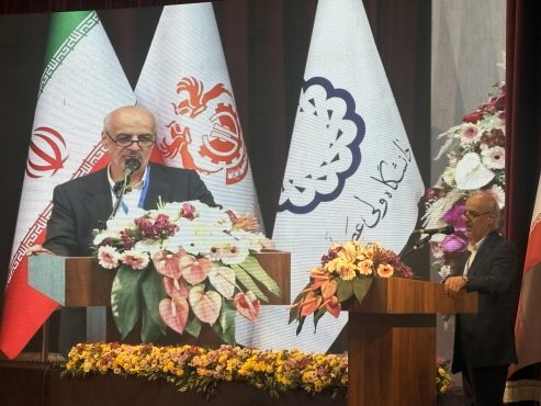 <span style='color:#a2a2a2;font-size:12px;'>رئیس انجمن مس ایران:</span><br/>توسعه صنایع پایین‌دستی، کلید خلق ارزش افزوده در زنجیره مس