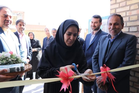 <span style='color:#a2a2a2;font-size:12px;'>به مناسبت دهه فجر؛</span><br/>افتتاح مرکز کارآفرینی و نوآوری صنایع فرهنگی و خلاق در رفسنجان