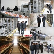 <span style='color:#a2a2a2;font-size:12px;'>فرماندار رفسنجان:</span><br/>تولید، با وجود شرایط جنگی حاکم بر کشور در رفسنجان مشکلی ندارد