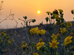 <span style='color:#a2a2a2;font-size:12px;'>گزارش تصویری؛</span><br/>بهار فصل جدید زندگی