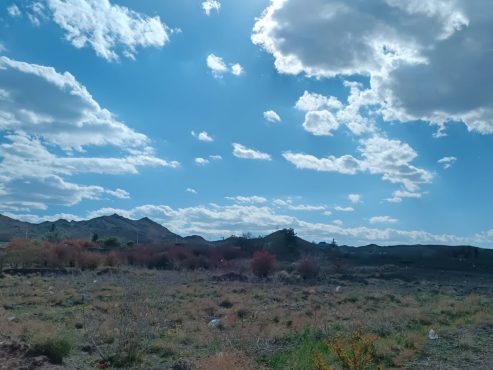 <span style='color:#a2a2a2;font-size:12px;'>ایران زنده است؛</span><br/>روایت از دل طبیعتِ سیزده‌به‌در مردمی مقاوم رفسنجانی