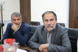 توسعه نیروگاه‌های خورشیدی رفسنجان در دستور کار فرمانداری