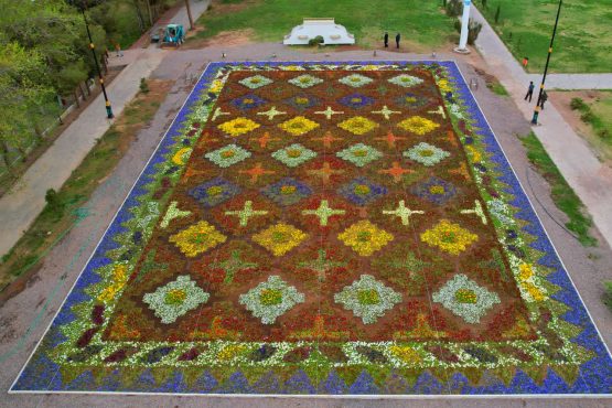 <span style='color:#a2a2a2;font-size:12px;'>گزارش تصویری؛</span><br/>رفسنجان، شهر گل‌ها + تصاویر