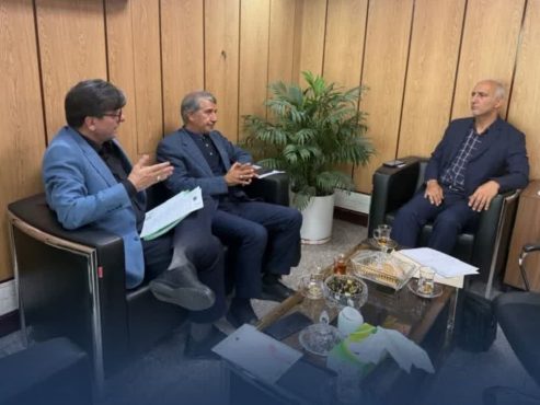 اختصاص آمبولانس جدید و تأمین اعتبار ۶۸ میلیاردی دانشگاه؛ دستاوردهای دیدار انارکی‌محمدی با مسئولان ارشد وزارت بهداشت