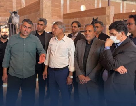 تأکید انارکی‌محمدی بر توسعه زیرساخت‌های گردشگری رفسنجان همزمان با افتتاح “ستارگان” و بازدید از پروژه ورزشی “تندیس نور”